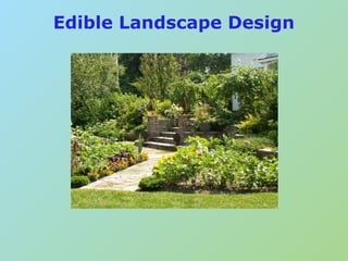 Edible Landscaping | PDF