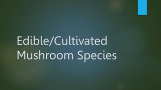 Edible/Cultivated
Mushroom Species
 