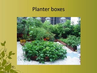 Planter boxes
 