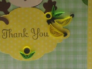 Shobha Devi on edible plants