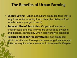 The Benefits of Urban Farming
• Energy Saving: Urban agriculture produces food that is
truly local while reducing food miles (the distance food
travels before you get to eat it)
• Reduced Use of Pesticides: Crops produced on a
smaller scale are less likely to be devastated by pests
and disease, particularly when biodiversity is practiced
• Reduced Need for Preservatives: Food produced
within the city is not transported over long distances and
does not require extra measures to increase its lifespan
 
