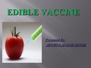 Presented By:Presented By:
APURVA ANAND SINGHAPURVA ANAND SINGH
EDIBLE VACCINEEDIBLE VACCINE
 