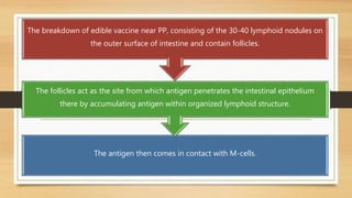 The antigen then comes in contact with M-cells.
The follicles act as the site from which antigen penetrates the intestinal epithelium
there by accumulating antigen within organized lymphoid structure.
The breakdown of edible vaccine near PP, consisting of the 30-40 lymphoid nodules on
the outer surface of intestine and contain follicles.
 