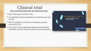 Clinical trial
ETEC {ENTEROTOXIGENIC ESCHERICHIA COIL}
 Boyce Thompson Institute, USA.
 Accomplished the first published successful human trial
in 1997.
 Eleven volunteers were fed raw transgenic potatoes
expressing LT-B.
 Ten (91%) of these individuals developed neutralizing
antibodies, and six (55%) developed a mucosal response.
 