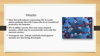 Measles
 Mice fed with tobacco expressing MV-H could
attain antibody titers five times the level considered
protective for humans.
 MV-H edible vaccine does not cause atypical
measles, which may be occasionally seen with the
current vaccine.
 Transgenic rice , lettuce and baby food against
measles are also being developed.
 