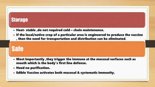 Storage
• Heat- stable ,do not required cold – chain maintenance.
• If the local/native crop of a particular area is engineered to produce the vaccine
, then the need for transportation and distribution can be eliminated.
Safe
• Most Importantly ,they trigger the immune at the mucosal surfaces such as
mouth which is the body’s first line defense.
• Need no purification.
• Edible Vaccine activates both mucosal & systematic immunity.
 