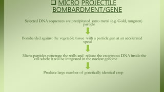  MICRO PROJECTILE
BOMBARDMENT/GENE
Selected DNA sequences are precipitated onto metal (e.g. Gold, tungsten)
particle
Bombarded against the vegetable tissue with a particle gun at an accelerated
speed
Micro-particles penetrate the walls and release the exogenous DNA inside the
cell where it will be integrated in the nuclear genome
Produce large number of genetically identical crop
 