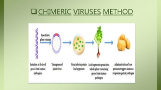 CHIMERIC VIRUSES METHOD
 