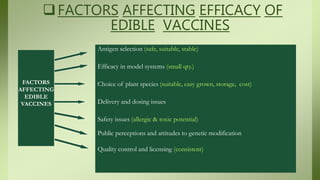 FACTORS AFFECTING EFFICACY OF
EDIBLE VACCINES
FACTORS
AFFECTING
EDIBLE
VACCINES
Antigen selection (safe, suitable, stable)
Efficacy in model systems (small qty.)
Choice of plant species (suitable, easy grown, storage, cost)
Delivery and dosing issues
Safety issues (allergic & toxic potential)
Public perceptions and attitudes to genetic modification
Quality control and licensing (consistent)
 
