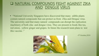  NATURAL COMPOUNDS FIGHT AGAINST ZIKA
AND DENGUE VIRUS
• “National University Singapore have discovered that many edible plants
contain natural compounds that can protect us from Zika and Dengue virus.
The university said that many natural compounds can disrupt the replication
machinery of both zika and dengue virus. They are present in foods like tea,
red onion, yellow ginger and grapes. In future the research team plans to test
this vaccine .”
-5th October,2018
 