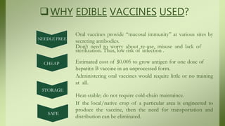 WHY EDIBLE VACCINES USED?
NEEDLE FREE
CHEAP
STORAGE
SAFE
Oral vaccines provide “mucosal immunity” at various sites by
secreting antibodies.
Don’t need to worry about re-use, misuse and lack of
sterilization. Thus, low risk of infection .
Estimated cost of $0.005 to grow antigen for one dose of
hepatitis B vaccine in an unprocessed form.
Administering oral vaccines would require little or no training
at all.
Heat-stable; do not require cold-chain maintaince.
If the local/native crop of a particular area is engineered to
produce the vaccine, then the need for transportation and
distribution can be eliminated.
 