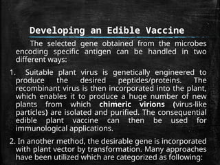EDIBLE VACCINES: definition, methods of preparation, mode of action ...