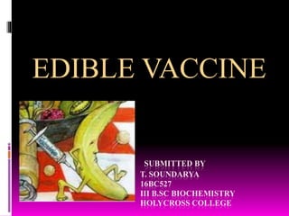 SUBMITTED BY
T. SOUNDARYA
16BC527
III B.SC BIOCHEMISTRY
HOLYCROSS COLLEGE
EDIBLE VACCINE
 