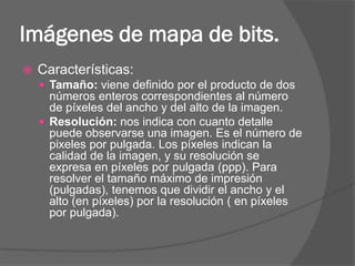 Imágenes de mapa de bits.
   Características:
     Tamaño: viene definido por el producto de dos
      números enteros correspondientes al número
      de píxeles del ancho y del alto de la imagen.
     Resolución: nos indica con cuanto detalle
      puede observarse una imagen. Es el número de
      pixeles por pulgada. Los píxeles indican la
      calidad de la imagen, y su resolución se
      expresa en píxeles por pulgada (ppp). Para
      resolver el tamaño máximo de impresión
      (pulgadas), tenemos que dividir el ancho y el
      alto (en píxeles) por la resolución ( en píxeles
      por pulgada).
 