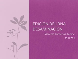 EDICIÓN DEL RNA
DESAMINACIÓN
     Marcela Cárdenas Tueme
                    1500792
 