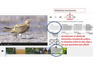 Añadimos transiciones
Arrastramos el efecto de
transición a la pista de audio y
lo situamos entre los dos clips a
los que queremos que afecte
 