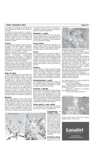 Guido, Noviembre 2012                                                                                  Castelli, miércoles 17 de FebreroPágina 05
                                                                                                                                           de 2010
                                                                                                           Castelli,viernes 18 de Septiembre de 2009
Este hongo crece formando un escleroto de más            el ganado vacuno. Durante la floración y                Sunchillo
de dos milímetros de diámetro que reemplaza a            fructificación contiene elevado porcentaje de
la semilla.                                              saponinas (sustancias espumantes).
El consumo de estos esclerotos, en donde se
encuentran los principios toxicos trae aparejadas        Mostacilla o nabillo
manifestaciones clínicas en el animal, tales como        Es una hierba anual de 20 a 50 cm de altura,
temblores, incoordinación, movimientos con               ramas de hojas dentadas y flores amarillas; sus
miembros rígidos y caídas, los animales no               semillas contienen un azúcar (glucósido) que por
muestran síntomas mientras no son movilizados,           fermentación se descompone en varios compuestos
raramente es mortal.                                     que son tóxicos para el ganado.

Festuca                                                  Acacia Blanca
La enfermedad que produce se llama Festucosis.           Se cultivó mucho como planta ornamental, es un
La festuca es una planta forrajera ampliamente           árbol con flores vistosas y de color blanco. Su
difundida por sus valiosas condiciones                   toxicidad se atribuye a dos compuestos azucarados
agronómicas. Es una gramínea perenne de uso              que actúan sobre el sistema nervioso central.          tros de altura que crecen en suelos bajos, bordes
forrajero, de crecimiento otoño-invierno-                                                                       de lagunas, cañadas. Florece en verano.
primaveral, resistente al frío y la sequía.              Cicuta                                                 Se intoxica principalmente el bovino, siendo el
Establece una relación de mutualismo con el hongo        Es una planta anual de 1-2 metros de altura de         animal adulto más sensible que el joven. Enferman
endófito       Acremonium           coenophyalum         olor desagradable con pequeñas flores blancas.         también caprinos, ovinos y equinos.
(clavicipetáceas), actualmente Neothypodium              Esta planta es más tóxica en la primavera y cuando     La intoxicación del ganado por el duraznillo blanco
coenophyalun presente en plantas y semillas de           se halla verde, debido a la gran volatilidad de los    recibe el nombre de Enteque Seco, siendo su
festuca, cuya acción es producir ergoalcaloides que      alcaloides que posee, que son del grupo de la          incidencia mayor cuando faltando pasto en las
son sustancias tóxicas para los animales.                piridina, cuya acción se orienta al sistema nervioso   partes altas del potrero, el animal pastorea las
La presencia de estas toxinas produce en los             central causando una acción paralizante; los           zonas bajas, que es el hábitat de las malezas.
animales, anemia, menor consumo de alimentos             animales más sensibles a ésta son los bovinos y        Principio tóxico: en el proceso de caída de las
y bajo aprovechamiento de la celulosa. Las plantas       porcinos.                                              hojas que mayor durante los meses de otoño,
de festuca infectadas producen compuestos tóxicos                                                               dichas hojas de mezcla con el pasto, e ingeridas
que general renguera en invierno, asoleado en            Chamico                                                por el animal generan intoxicación.
verano (bovinos) y problemas de gestación o parto        Es una hierba de 1 metro de altura con hojas           Tan solo 12 gramos semanales de hojas de
en yeguarizos.                                           alternas y dentadas, de flores blancas con gruesas     duraznillo blanco, alcanza para producir toxicidad
                                                         espinas. Crece mucho en Buenos Aires, Córdoba,         e un bovino de 300 gramos en cuatro meses.
Sorgo de Alepo                                           Santa Fe, Entre Ríos, La Pampa, Catamarca y            La muerte del animal está en dependencia a la
El sorgo es un pasto perenne de hasta 1,50 metros        Jujuy. Produce mucha intoxicación en vacunos,          cantidad ingerida: 0,80 gramos de materia seca
de altura, cañas floríferas erectas, huecas y sin        ovinos y equinos; así como también en el hombre.       ingerida, por kilo de peso vivo.
pelos; las hojas son lineales, anchas y sin pelos.       El ganado caprino no es afectado por esta especie.     Medidas preventivas generales
Es importante la mayor cantidad de ácido
cianhídrico que se encuentra en el período de            Revientacaballos o quillo                              Las perdidas pueden ser evitadas tomando las
crecimiento, para ir luego decreciendo desde poco        Es una hierba de 0,20 a 0,40 metros de altura, de      siguientes medidas preventivas:
antes de la floración. El período de macollaje es        flores azuladas. Florece en primavera y fructifica     -       Cerrar las áreas peligrosas
el más peligroso desde el punto de vista tóxico.         en verano. Los animales sólo ingieren en épocas        -       Tomar precauciones especiales proveyendo
Este ciclo está sujeto a modificaciones                  de sequía o cuando escasea el forraje.                 alimento adicional durante periodos de sequías o
ambientales; si después de una sequía rebrota a                                                                 inviernos muy severos.
merced de una lluvia, los brotes tiernos son             Romerillo o Mio-Mio                                    -       Aumentar la vigilancia en animales
sumamente tóxicos; la planta también es                  Es una planta de 0,80 metros de altura, de hojas       provenientes de otras zonas.
sumamente tóxica durante las heladas. Los suelos         lineales, crece en la zona que va desde Río Negro      -       Evitar la sobrecarga de los potreros.
con alto contenido de nitrógeno incrementan la           hacia el norte, siendo bastante tóxica. Se han
toxicidad; el fosforo, por lo contrario, la disminuye.   hecho experiencias suministrando a un ovino
                                                         adulto dosis de 70 a 100 gramos causándole la            Duraznillo Negro
Morenita                                                 muerte. Su toxicidad se acentúa cuando finaliza
Vulgarmente también se conoce como Alfalfa               la fructuficación, lo que ocurre en abril-mayo. No
criolla o alfalfa de los pobres. Es una hierba anual     se ha podido determinar aun cuál es el principal
con tallos que pueden alcanzar un metro de altura        principio activo que hace tóxica la planta.
con hojas alternas y numerosas; su color varía
del verde pálido a morenos, es muy común en la           Abrojo grande o cepa caballo
zona central y norte de nuestro país, invadiendo         Es una planta espinosa, hojas en forma de lanza;
cultivos y terrenos modificados a orillas de los         es muy común en la zona agrícola de nuestro
caminos. Vegeta en primavera y fructifica a fines        país. Aún no se conoce su principio tóxico.
del verano y en otoño; es tóxica sobre todo para
                                                                                   Transparente             o
                                                                                   siempre verde
       Revienta Caballo                                                            Es un arbusto con hojas
                                                                                   en forma de lanza de y
                                                                                   con flores blancas. En       Grupo: Cinthia Franco, Iara De la Fuente,
                                                                                   nuestro país es una          Damián Zárate y Franco Luna
                                                                                   planta que se utiliza
                                                                                   para la formación de
                                                                                   cercos vivos, como plan-
                                                                                   ta ornamental y además
                                                                                   como fijadora de méda-
                                                                                   nos. Es tóxica para todas
                                                                                   las especies siendo la
                                                                                   parte más activa las
                                                                                   hojas, y este poder tóxico
                                                                                   está dado por los aceites
                                                                                   esenciales.
                                                                                                                               Agroveterinaria
                                                                                   Duraznillo blanco                         GRUPO BRIO MAIPU
                                                                                   Es una planta rizo-
                                                                                   matosa de 1 a 1,5 me-
 