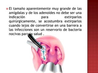  Eltamaño aparentemente muy grande de las
 amígdalas y de los adenoides no debe ser una
 indicación           para          extirparlos
 quirúrgicamente, se acostumbra extirparlos
 cuando lejos de convertirse en una barrera a
 las infecciones son un reservorio de bacteria
 nocivas para la salud .
 