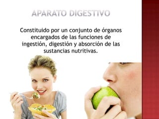 Constituido por un conjunto de órganos
    encargados de las funciones de
 ingestión, digestión y absorción de las
          sustancias nutritivas.
 