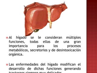  Al hígado se le consideran múltiples
 funciones, todas ellas de una gran
 importancia      para       los      procesos
 metabólicos, secretorios y de desintoxicación
 orgánica.

 Lasenfermedades del hígado modifican el
 desarrollo de dichas funciones generando
 
