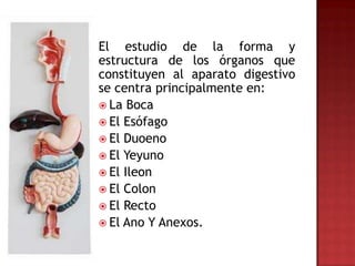 El estudio de la forma y
estructura de los órganos que
constituyen al aparato digestivo
se centra principalmente en:
 La Boca
 El Esófago
 El Duoeno
 El Yeyuno
 El Ileon
 El Colon
 El Recto
 El Ano Y Anexos.
 