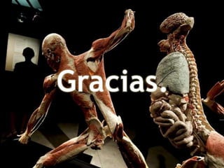 APARATO DIGESTIVO Y SU DESCRIPCIÓN