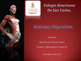 Presenta:

  Delia Azucen García Castro.

Profesor: QBA Miguel A. Castro R.


      2 De Marzo De 2013.
 