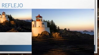 REFLEJO