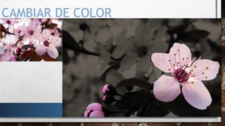 CAMBIAR DE COLOR