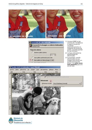 -12-Edición de gráficos digitales - Edición de imágenes en Gimp
16 MILLONES DE COLORES INDEXADO - 256 COLORES
1) Aunque GIMP no lee
archivos de 1 bit (Blanco
y negro), ya que los
convierte
automáticamente en
imágenes de escala de
grises, sí puede guardar
en ese formato.
2) Lo hace utilizando las
posibilidades de
difuminado.
3) El resultado, usando
difuminado, es una
imagen que simula con
puntos los tonos de
grises. Y es ocho veces
más pequeña que una
de ese tipo.
1
2
3
 