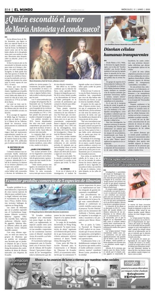 elsiglo.com.veB14  |  EL MUNDO MIÉRCOLES | 3 | JUNIO | 2020
¿Quién escondió el amor
deMaríaAntonietayelcondesueco?
María Antonieta y Axel de Fersen: ¿Alianza o amor?
EFE
En las últimas horas de Ma-
ría Antonieta, una figura se
alzó con especial fuerza en su
vida: el conde y militar sueco
Axel de Fersen. Su fidelidad lo
marcó como uno de los más
leales aliados de la decapitada
reina, pero una sombra se alza
aún, doscientos años después,
sobre su relación. ¿Eran o no
amantes?
Si bien la ciencia aún no ha
encontrado la fórmula secreta
para viajar en el tiempo y des-
pejar con total veracidad esta
incógnita, la duda queda hoy
más lejos gracias al estudio de
un grupo de científicos france-
ses que ha analizado con la tec-
nología más puntera las cartas
entre la reina, esposa de Luis
XVI, y el sueco.
Fersen, que tuvo también
una muerte trágica (fue lin-
chado y lapidado por el pueblo
sueco en 1810 en medio de una
crisis), había sido objeto de ru-
mores en vida de la reina, tras
conocerla en 1779 en un baile
de la Ópera.
Les unió un trato casi fa-
miliar y fue, especialmente en
los últimos años de vida de los
reyes, un miembro cercano, un
favorito.
Él se encargó de organizar
la fallida fuga de Varennes y
para ello no dudó en colarse
en el Palacio de las Tullerías,
donde los monarcas vivían
prácticamente en condición de
reclusos.
Pero su figura trascendió al
trágico final del matrimonio,
especialmente cuando las car-
tas entre él y María Antonieta
de Austria vieron la luz a fina-
les del siglo XIX, publicadas
por el sobrino nieto del militar.
EL MISTERIO DE LAS
TACHADURAS
Comenzó entonces una en-
carnizada batalla intelectual
entre los que dieron por hecho
que era el amante de la reina
y quienes, defendiendo la vir-
tud de la austríaca, lo dejaron
en un romance platónico y en
ningún caso carnal.
¿La razón de la duda? Las
cartas habían sido censuradas
y decenas de tachaduras im-
pedían ver ciertos pasajes. Cu-
riosamente, las partes capadas
se encontraban al inicio y al
final de estas misivas políticas,
como si alguien hubiera inten-
tado ocultar la relación privada
que los unía.
Las 15 cartas analizadas por
el equipo del programa Rex II,
financiado por la Fundación
de Ciencias del Patrimonio y
con el respaldo de los Archivos
Nacionales, dueño de estas mi-
sivas fechadas en 1791 y 1792,
han pasado dos procesos que
ayudan a despejar la incógnita.
Los análisis, iniciados en
2014, fueron abandonados
dos años más tarde cuando
comprobaron que para leer las
capas de la escritura -el texto y
la parte oculta- hacía falta un
proceso más innovador.
La respuesta llegó con un
escáner 2 D XRF que permite
separar las distintas tintas en
función de la presencia de ele-
mentos metálicos, como cobre
o zinc, usados en la época.
¿HUBO O NO ROMANCE?
Ese escáner permitió al fin
ver los fragmentos censurados
y acabar en parte con la discu-
sión de generaciones y genera-
ciones que han tratado de des-
cifrar esas cartas.
“Toda vuestra persona está
ligada a mi existencia”, lee uno
de los investigadores, Fabien
Pottier. La carta escaneada
acerca más que nunca a la tesis
de una relación romántica.
Más difícil es, en cambio,
confirmar que la relación fue
física, como apostaba Stefan
Zweig en la biografía que escri-
bió de la reina, donde acusaba
a los descendientes de Fersen
de haber participado en la
corriente de puritanismo que
censuró la relación para defen-
der el honor de la reina.
“Estos pasajes muestran
una clara cercanía, pero no
constancia de una relación fí-
sica. Son frases que, con nues-
tra visión actual, nos parecen
claras, pero no es que sea ne-
cesariamente comprometido
llamar a alguien ‘mi querida y
tierna amiga’”, dice a EFE una
de las investigadoras, Anne
Michelin, del Centro Nacional
de Investigación y Museo Na-
tural de Historia Natural.
Las cartas ayudan también
a comprender mejor a sus per-
sonajes: ella, cuya escritura
evoluciona en este convulso
período; él, reputado por su
meticulosidad, ahora se revela
tan entregado como para re-
chazar una oferta del rey sueco
y seguir así cerca de ella.
“No quiero estar atado. Ver-
la, amarla y consolarla es todo
lo que deseo”, le escribe, en un
extracto que revela “Le Mon-
de”.
EL CENSOR
Si no era el objetivo de la
investigación, el análisis ha
logrado acabar con el misterio
sobre quién ocultó las partes
románticas.
Si bien de esas 15 cartas sie-
te eran de María Antonieta, los
científicos han comprobado
que cinco de ellas habían sido
transcritas por Fersen, ya que
la reina las mandaba cifradas.
Al separar las dos capas de
tinta, el famoso escáner mues-
tra que el componente de la
tinta del texto y de los tachones
no solo tiene las mismas pro-
porciones de metal, sino que
fue añadido poco después de la
transcripción de las cartas.
“Hay una concordancia que
permite pensar que fue él mis-
mo quien censuró una parte de
sus cartas. Nuestra hipótesis es
que era Fersen quien lo hizo y
que había cierta información
que no quería que otros vie-
ran”, comenta Michelin.
El resultado de la investiga-
ción debía haber sido difundi-
do en marzo, cuando el grupo
quería establecer contacto con
los suecos, que guardan buena
parte de las cartas, pero el con-
finamiento por el coronavirus
ha retrasado el proceso.
Esas cartas, un mechón del
cabello de la reina y un re-
loj con las iniciales de ambos
fueron los únicos objetos que
guardó el sueco. Agarraba en
sus puños el reloj y ese mechón
el día que lo mataron, veinte
años después, en las calles de
Estocolmo.
Los científicos buscan desarrollar una célula invisible
Diseñan células
humanastransparentes
EFE
Desde Platón a H.G. Wells,
la literatura ha jugado durante
siglos con la idea del “hombre
invisible”, una ficción llevada
también al cine que ha captado
ahora la atención de los cien-
tíficos, según revela un estudio
que publica hoy la revista Na-
ture.
Un grupo de expertos de la
Universidad de California (EE.
UU.) ha diseñado en el labora-
torio células humanas transpa-
rentes, similares en concepto
a las de muchos animales que
presentan “estructuras, tejidos
o, incluso, cuerpos enteros”
totalmente transparentes para
camuflarse en la naturaleza.
Es el caso de la mariposa
de alas de cristal, la gamba de
cristal, los ctenóforos (simila-
res a las medusas) o los cefa-
lópodos mesopelágicos, como
los pulpos y calamares que son
capaces de transformar la ma-
nera en que su piel transmite,
absorbe y refleja la luz.
Para esta investigación, los
expertos centraron su atención
en la hembra del “Doryteuthis
opalescense”, un calamar que
recurre al camuflaje para evi-
tar ataques de sus predadores,
transformando una franja de
su manto “casi transparente”
en un color “blanco opaco”,
explican los expertos en un co-
municado.
En ambos casos, este proce-
so depende del funcionamien-
to de unas células llamadas
leucóforos, las cuales contie-
nen unas proteínas denomi-
nadas reflectinas que alteran
las propiedades ópticas de las
células.
A partir de estas células
adaptativas presentes en la piel
de estos cefalópodos, los inves-
tigadores desarrollaron células
humanas capaces de efectuar
cambios de transparencia
“controlables y reversibles”.
En una primera fase, selec-
cionaron en el laboratorio cé-
lulas embrionarias de riñones
humanos y las manipularon
para que pudieran expresar la
proteína reflectina A1, presen-
te en el manto del “Doryteuthis
opalescense”.
Después, analizaron si las
expresiones de la proteína del
calamar en cuestión tenía al-
gún efecto sobre la manera en
que las células humanas inte-
ractúan con la luz y si esas pro-
piedades se podían controlar.
A través del uso de dife-
rentes concentraciones de una
solución de cloruro de sodio,
lograron alterar el grado de
transparencia de las células
modificadas.
Los autores destacan que
su estudio puede contribuir a
mejorar el conocimiento sobre
una amplia gama de sistemas
biológicos, pues aporta más
claridad respecto al funcio-
namiento de los procesos que
ocurren en el interior de las
células y tejidos vivos.
Ecuadorprohíbecomerciode5especiesdetiburón
En Hong Kong fueron detectados tiburones ecuatorianos
EFE
Ecuador prohibirá la co-
mercialización y exportación
de cinco nuevas especies de
tiburón para combatir la pes-
ca ilegal, informó este lunes
el viceministro de Acuacul-
tura y Pesca, Andrés Arens,
tras recientes hallazgos de
capturas en Hong Kong.
Las clases de tiburones
que no se podrán expender
son el Carcharhinus longi-
manus (tiburón oceánico),
Sphyrna zygaena (tibu-
rón martillo liso), Sphyrna
mokarran (tiburón marti-
llo gigante), Sphyrna tibu-
ro (tiburón cabeza de pala)
y Sphyrna lewini (tiburón
martillo común).
Con estas últimas espe-
cies, en total son nueve los
grupos de tiburones que
no podrán ser atrapados,
una decisión que se produ-
ce después de que a inicios
de mayo la aduana de Hong
Kong decomisara dos conte-
nedores de aletas de tiburón
marcados con etiquetas de
Ecuador.
“El Ecuador condena
cualquier acto relacionado
con pesca ilegal, no decla-
rada y no reglamentada, en
especial cuando estos actos
están vinculados a una espe-
cie tan sensible e importante
en los ecosistemas marinos
como el tiburón”, manifestó
Arens, de acuerdo a un bole-
tín de su cartera.
El viceministro indicó que
compareció ante la Fiscalía,
junto con el Servicio Nacio-
nal de Aduana del Ecuador
(Senae), “para poner a dispo-
sición de los investigadores
toda la información que dis-
ponen las dos instituciones”
respecto a la captura devela-
da el mes pasado.
La carga, de 26 toneladas
decomisada en Hong Kong,
representó “la mayor incau-
tación de aletas” registrada
en la historia del país asiático
de la que forma parte el te-
rritorio autónomo, informó
entonces el diario “South
China Morning Post”.
Como parte del Plan de
Acción Nacional para la
Conservación y el Manejo
de Tiburones de Ecuador
(PNT), el viceministro infor-
mó de que “se contrataron 75
nuevos inspectores de pesca
y se implementará un siste-
ma integrado de gestión do-
cumental y trazabilidad”.
Este procedimiento im-
pedirá que los productos
provenientes de la pesca ile-
gal sean comercializados y
además se conformará un
comité científico asesor para
el proyecto “Acción Tiburón”
junto con los ministerios del
Ambiente y Turismo, aparte
de impulsar la tecnología en
redes e incentivos a los pes-
cadores para liberar tiburo-
nes.
Por su parte, la Cáma-
ra Nacional de Pesquería
(CNP) explicó en un comu-
nicado que el suceso afectará
su reputación a nivel global e
impactará negativamente en
sus exportaciones.
“Condenamos firme e in-
dudablemente cualquier tipo
de práctica que atenta contra
el medio ambiente y nuestro
entorno marino”, manifestó
Bruno Leone, presidente de
la entidad.
Preocupaciónantela
llegadade“avispasasesinas”
Las“avispasasesinas”sondegran
tamaño
EFE
Investigadores y autoridades
del estado de Washington (no-
roeste de EEUU) se mostraron
este miércoles preocupados ante
la llegada de la conocida como
“avispa asesina” por primera vez
al país, lo que genera inquietud
por su peligrosidad e impacto
sobre la fauna local.
El avispón asiático gigante es
considerado una especie invaso-
ra por su potencial colonizador
y por constituir una amenaza
grave para las autóctonas, espe-
cialmente para las abejas melífe-
ras, a las que ataca mortalmente
en el caso de los adultos y devora
a las larvas y ejemplares jóvenes.
La situación de las abejas es
ya alarmante en EE.UU. y gran
parte del mundo debido a la
drástica reducción de sus po-
blaciones en los últimos años
por la contaminación y el uso
de insecticidas, por lo que la
llegada de un depredador tan
letal como el avispón asiático
podría tener consecuencias de-
vastadoras para la especie, cuya
polinización resulta clave para el
ecosistema.
Las “avispas asesinas” (Vespa
mandarinia) miden unos cin-
co centímetros -son por tanto
significativamente más grandes
que las abejas y que la mayoría
de avispas-, tienen grandes ca-
bezas naranjas con enormes ojos
y un abdomen rayado negro y
amarillo.
Además de la amenaza que
supone para las abejas locales,
se calcula que el avispón asiá-
tico gigante es responsable de
la muerte de hasta cincuenta
personas cada año en Japón, de
donde es originaria, ya que si un
individuo recibe varias de sus
tóxicas picadas, puede fallecer
incluso sin tener alergia a estos
insectos.
La “avispa asesina” fue detec-
tada por primera vez en EE.UU.
por el Departamento de Agri-
cultura del estado de Washing-
tonendiciembredelañopasado,
aunque su ciclo vital empieza en
abril, cuando las avispas reinas
salen de su hibernación, por lo
que se entiende que la mayoría
de los avistamientos estén ocu-
rriendo estos días.
El momento de mayor pe-
ligrosidad de esta especie llega
a finales del verano y en otoño,
cuando las avispas salen a la caza
de abejas para almacenar proteí-
nas que alimenten durante la
época de frío a las futuras reinas
que saldrán cuando empiece un
nuevo ciclo en abril.
 