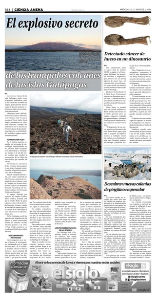 elsiglo.com.veB14  |  CIENCIA AMENA MIÉRCOLES | 5 | AGOSTO | 2020
Imagen del Parque Nacio-
nal Galápagos que mues-
tra el coloso Cerro Azul,
situado en la isla Isabela
(Ecuador)
Elexplosivosecreto
delostranquilosvolcanes
delasislasGalápagos
Un equipo de expertos vulcanólogos mientras recorren el volcán Fernandina
EFE
Los remotos volcanes de las
islas Galápagos suelen tener
erupciones inofensivas, pero
en sus conductos, esconden un
magma químicamente diverso
capaz de generar potentes ex-
plosiones, según una investiga-
ción internacional.
Ubicados a unos 1.000 kiló-
metros de la costa ecuatoriana,
esos volcanes, entre los que se
cuentan el Cerro Azul o Sierra
Negra, permanecen en cons-
tante erupción, y aunque casi
inofensivas, no se descarta en
el futuro alguna de gran poten-
cia porque en sus profundida-
des esconden magmas quími-
camente diversos.
COMPOSICIÓN ÁCIDA
Así lo indican muestras re-
cogidas por un equipo de vul-
canólogos internacionales en
los volcanes Wolf, localizado
en la isla Isabela, y Fernandi-
na, situado en la isla del mis-
mo nombre, para estudiar la
composición de los flujos de
lava basílica que emanan los
colosos.
Al descifrar las estructuras
de los cristales microscópicos
en sus lavas, el equipo recons-
truyó las características quími-
cas y físicas del magma.
Tienen “composiciones áci-
das, con mayor contenido de
sílice”, lo que se asemeja al con-
tenido de otros volcanes como
el Cotopaxi, en la sierra ecua-
toriana, explicó a Efe Benjamín
Bernard, vulcanólogo del Ins-
tituto Geofísico de la Escuela
Politécnica Nacional.
El equipo, formado por
expertos de Estados Unidos,
Reino Unido y Ecuador, cree
que el basalto, fluido de aguas
calientes, cubre toda la diversi-
dad química restante, cuando
la cantidad de magma que flu-
ye a través de la corteza bajo el
cono volcánico es lo suficiente-
mente alta.
En las Galápagos, una de las
regiones más megadiversas del
planeta y mejor conservadas,
existen 23 volcanes escudo,
volcanes grandes, y de estos,
13 han tenido erupciones en
los últimos 10.000 años, indicó
Bernard.
DESCUBRIMIENTO
INESPERADO
La investigación nació por-
que el grupo de investigado-
res, encabezado por el inglés
Michael Stock, de la irlande-
sa Trinity’s School of Natural
Sciences y autor principal del
trabajo, quería saber por qué
estos volcanes eran “tan abu-
rridos” y qué proceso causaba
Detectado cáncer de
hueso en un dinosaurio
EFE
Una colaboración entre
el museo Real de Ontario
(ROM, en inglés) y la Univer-
sidad McMaster ha permiti-
do descubrir y diagnosticar
por primera vez una forma
agresiva de cáncer óseo -un
osteosarcoma- en un dinosau-
rio, según revela este lunes la
revista científica británica The
Lancet Oncology.
El cáncer fue localizado en
la fíbula de un Centrosaurus
apertus, un dinosaurio que vi-
vió hace 77 millones de años y
descubierto en 1989 en el par-
que Provincial del Dinosaurio
de Alberta.
Hasta ahora, se pensaba
que este animal prehistórico
había sufrido una fractura en
la fíbula (peroné), pero un
análisis exhaustivo realizado
por paleontólogos y patólogos
concluyó que el dinosaurio te-
nía cáncer en ese hueso de la
pata.
“El diagnóstico de un cán-
cer agresivo en dinosaurios ha
sido (hasta ahora) vago y para
ello se requiere de expertos
médicos y múltiples niveles
de análisis para identificarlo”,
dijo Mark Crowhter, profesor
de Patología y Medicina Mo-
lecular de la Universidad Mc-
Master.
Para el diagnóstico, los in-
vestigadores compararon el
fósil de este dinosaurio con
una fíbula normal de otro di-
nosaurio de la misma especie,
así como osteosarcomas en se-
res humanos.
El fósil del dinosaurio es-
tudiado corresponde a un ani-
mal adulto con un avanzado
cáncer que pudo haber provo-
cado metástasis.
“El hueso muestra un cán-
cer agresivo en estado avanza-
do. El cáncer pudo tener efec-
tos paralizantes en el animal y
muy vulnerable al formidable
tiranosaurio predador de su
tiempo”, señaló David Evans,
del ROM, y experto en estos
grandes animales prehistóri-
cos.
El objetivo de este estudio,
según los expertos, es avanzar
en el diagnóstico de enferme-
dades localizadas en fósiles de
dinosaurios.
Establecer vínculos entre
enfermedades de los humanos
y las de del pasado pueden
ayudar a los científicos a en-
tender mejor la evolución y la
genética de varias enfermeda-
des, añaden
Descubrennuevascolonias
depingüinoemperador
EFE
Un nuevo estudio ha re-
velado que existe 20% más
de colonias de pingüino em-
perador en la Antártida de lo
que se creía, lo que supone un
“importante punto de referen-
cia” para analizar el impacto
de los cambios medioambien-
tales en los hábitats de estos
animales.
En una investigación pu-
blicada esta semana en la re-
vista Remote Sensing in Eco-
logy and Conservation, los
científicos explican que han
utilizado imágenes del satélite
Copernicus Sentinel-2 para
localizar las colonias de estas
aves.
Se han ubicado once nue-
vas colonias, tres de las cuales
se habían identificado ante-
riormente, pero no habían
sido confirmadas. En total,
en todo el continente de la
Antártida, existen 61 colonias
de esta especie de pingüino,
caracterizado por necesitar de
agua congelada para reprodu-
cirse.
Esto provoca que normal-
mente se establezcan en áreas
de difícil acceso y con tempe-
raturas inferiores a los 50 gra-
dos centígrados.
Las colonias encontradas
son pequeñas y, en total, au-
mentan la población de pin-
güinos entre 5 y 10%.
Este descubrimiento, rea-
lizado por los científicos de la
organización British Antarctic
Survey (BAS), llega después
de que hayan estado durante
los últimos diez años buscan-
do nuevas colonias a través de
las manchas que dejan estos
animales en el suelo.
“Pese a que esta sea una
buena noticia, los lugares de
reproducción en estas nuevas
colonias, según nuestros mo-
delos de proyección, muestran
que los pingüinos decrecerán
con el tiempo”, apuntó el doc-
tor Phil Trathan, jefe de con-
servación biológica en el BAS
y que lleva tres décadas estu-
diando a los pingüinos.
“Tenemos que prestar mu-
cha atención a estos lugares
para ver cómo les va a afectar
el cambio climático”, añadió.
que “las composiciones de las
lavas se mantuvieran constan-
tes”, según un comunicado.
En cambio, entendieron
que estos volcanes albergaban
diversidad de magmas quími-
cos, que “no son aburridos en
absoluto” y que “sólo escon-
den estos magmas bajo tierra”,
recalcó Stock.
Esto puede ocurrir cuando
los volcanes están ubicados
cerca del “punto caliente”, una
anomalía de temperatura que
asciende desde las profundi-
dades de la Tierra y que, en
definitiva, fue lo que creó el
archipiélago de Galápagos.
Según el estudio, los com-
ponentes químicos encon-
trados podrían llegar a ser
móviles y ascender hacia la
superficie bajo ciertas cir-
cunstancias, es decir, que
los volcanes que mantienen
erupciones de lava basílica
podrían tener actividad ex-
plosiva en el futuro.
“Sabemos que hubo erup-
ciones, por ejemplo, el vol-
cán Alcedo hace casi 100.000
años, pero eso no significa
que Wolf y Alcedo, vayan a
tener erupciones inmediatas,
quizás las tengan en algunos
cientos o miles de años”, seña-
ló Bernard.
¿ERUPCIONES EXPLOSIVAS
EN GALÁPAGOS?
Los Volcanes Wolf y Fer-
nandina, donde se tomaron
las muestras, han tenido
erupciones de basalto en 2015
y 2020, pero ahora gracias a
esta investigación se sabe que
debajo de ellos hay otros ele-
mentos explosivos, que algún
día podrían emerger a la su-
perficie
“Solo porque siempre han
entrado en erupción de una
manera particular en el pasa-
do no significa que podemos
confiar que continuarán ha-
ciendo lo mismo indefinida-
mente en el futuro”, apunta la
investigación publicada por la
Escuela Politécnica Nacional.
Los resultados obtenidos
también ayudarán a com-
prender mejor los riesgos que
representan los volcanes en
otras partes del mundo y a la
vigilancia y evaluación de po-
sibles peligros.
De acuerdo con el Instituto
Geofísico, las Islas Galápagos
son consideradas una de las
zonas volcánicas más activas
del mundo.
Las 13 islas del archipié-
lago son de origen volcánico
y, por lo menos en 8 de ellas,
sus volcanes han manifestado
una intensa actividad durante
el período histórico, especial-
mente los volcanes de las islas
Isabela y Fernandina.
 