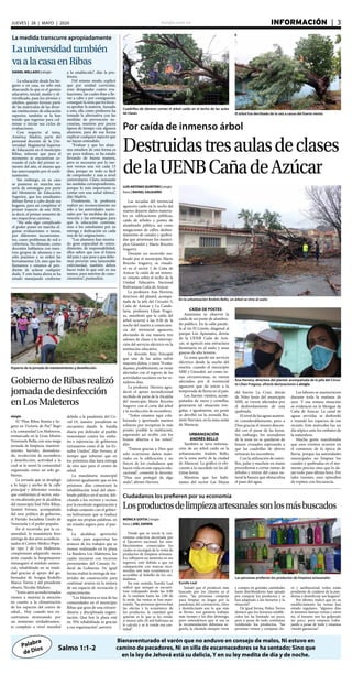 elsiglo.com.ve INFORMACIÓN  | 3JUEVES | 28 | MAYO | 2020
Palabra
de Dios
Bienaventurado el varón que no anduvo en consejo de malos, Ni estuvo en
camino de pecadores, Ni en silla de escarnecedores se ha sentado; Sino que
en la ley de Jehová está su delicia, Y en su ley medita de día y de noche.
Salmo 1:1-2
LUIS ANTONIO QUINTERO | elsiglo
fotos | RAFAEL SALGUERO
Las secuelas del torrencial
aguacero caído en la noche del
martes dejaron daños materia-
les en edificaciones públicas,
caída de árboles y postes de
alumbrado público, así como
anegaciones de calles, desbor-
damiento de canales y quebra-
das que atraviesan los munici-
pios Girardot y Mario Briceño
Iragorry.
Durante un recorrido rea-
lizado por el municipio Mario
Briceño Iragorry, se visuali-
zó en el sector 1 de Caña de
Azúcar la caída de un inmen-
so vetusto sobre el techo de la
Unidad Educativa Nacional
Bolivariana Caña de Azúcar.
La profesora Ana Herrera,
directora del plantel, acompa-
ñada de la jefa del Circuito 5,
Caña de Azúcar y La Cande-
laria, profesora Lilian Frago-
za, manifestó que la caída del
árbol ocurrió a las 9:30 de la
noche del martes a consecuen-
cia del torrencial aguacero,
afectando de esa manera tres
salones de clases y la interrup-
ción del servicio eléctrico en la
institución educativa.
La docente hizo hincapié
que una de las aulas sufrió
mayores daños, y unos 70 estu-
diantes, posiblemente, se verán
afectados con el regreso de las
actividades escolares en los ve-
nideros días.
La profesora Herrera agra-
deció el apoyo incondicional
recibido de parte de la Alcaldía
del municipio Mario Briceño
Iragorry con el corte del árbol
y la recolección de escombros.
“Todos estamos aquí cola-
borando y aportando nuestro
esfuerzo por recuperar lo más
pronto posible la institución,
esperando así recibir con los
brazos abiertos a los niños”,
dijo.
“Damos gracias a Dios que
solo ocurrieron daños mate-
riales en la edificación y no
físicos de los ciudadanos que
hacen vida en este espacio edu-
cacional”, comentó la docente.
“Dios nos protegió de algo
malo”, afirmó Herrera.
Por caída de inmenso árbol
Destruidastresaulasdeclases
delaUENBCañadeAzúcar
En la urbanización Andrés Bello, un árbol se vino al suelo
Cuadrillas de obreros cortan el árbol caído en el techo de las aulas
de clases El árbol fue derribado de la raíz a causa del fuerte viento
Ana Herrera, directora del plantel, acompañada de la jefa del Circui-
to Lilian Fragoza, ofreció declaraciones a elsiglo
CAÍDA DE POSTES
Asimismo se observó la
caída de un poste de alumbra-
do público. En la calle parale-
la al río El Limón, diagonal al
parque Los Apamates, detrás
de la UENB Caña de Azú-
car, se apreció una estructura
iluminaría en el suelo y unas
guayas de alta tensión.
La zona quedó sin servicio
eléctrico desde la noche del
martes, cuando el municipio
MBI y Girardot, así como zo-
nas circunvecinas, se vieron
afectados por el torrencial
aguacero que da inicio a la
temporada de lluvia en el país.
Los fuertes vientos, acom-
pañados de rayos y centellas,
generaron tal situación irre-
gular, e igualmente, un poste
se derribó en la avenida Ra-
món Narváez, en la zona oeste
de Maracay.
URBANIZACIÓN
ANDRÉS BELLO
También se tuvo informa-
ción de un árbol caído en la
urbanización Andrés Bello,
en la zona norte de la ciudad
de Maracay. La gráfica es elo-
cuente a lo sucedido en las úl-
timas horas.
Mientras que los habi-
tantes del sector Las Mayas
del barrio La Cruz, detrás
de Niño Jesús del municipio
MBI, se vieron afectados por
el desbordamiento de una
quebrada.
El nivel de las aguas aumen-
tó considerablemente, pero a
Dios gracias el mismo descen-
dió con el pasar de las horas.
Sin embargo, los moradores
de la zona no se quedaron de
brazos cruzados esperando a
que las cuadrillas de obrero
retiraran los escombros.
Con la utilización de rastri-
llos, palas y machete en mano
procedieron a cortar ramas de
árboles y retirar del cauce na-
tural la basura que obstaculiza
el paso del agua.
Las labores se mantuvieron
durante toda la mañana de
ayer. Y esa misma situación
se evidenció en la Morgue de
Caña de Azúcar. La canal de
aguas servidas se desbordó
e inundó los espacios de ese
recinto. Este miércoles fue un
día atípico ante los embates de
la naturaleza.
Mucha gente manifestaba
que esos eventos ocurren en
el comienzo de la época de
lluvia, porque las autoridades
municipales no limpian los
canales y quebradas en el mo-
mento preciso sino que lo de-
jan todo para última hora. Por
tales razones, esos episodios
de repiten con frecuencia.
La medida transcurre apropiadamente
Launiversidadtambién
vaalacasaenRibas
DANIEL MELLADO | elsiglo
La educación desde los ho-
gares o en casa, no sólo está
abarcando lo que es el gremio
educativo, inicial, medio y di-
versificado, pues los jóvenes y
adultos, quienes forman parte
de las matrículas de las diver-
sas instituciones de educación
superior, también se la han
tenido que ingeniar para cul-
minar o iniciar sus ciclos de
evaluaciones.
Con respecto al tema,
América Madriz, parte del
personal docente de la Uni-
versidad Magisterial Superior
de Educación en el municipio
Ribas, informó que para el
momento se encuentran ce-
rrando el ciclo del primer se-
mestre del año, el mismo que
fue interrumpido por el confi-
namiento.
Sin embargo, en su caso
se pusieron en marcha una
serie de estrategias por parte
del Ministerio de Educación
Superior, que los estudiantes
debían llevar a cabo desde sus
hogares, para así completar el
primer trayecto de este 2020,
es decir, el primer semestre de
sus respectivas carreras.
“Ha sido algo complicado
el poder poner en marcha al-
gunas evaluaciones o tareas,
por diferentes inconvenien-
tes, como problemas de red o
cobertura. No obstante, como
docentes hablamos con nues-
tros grupos de alumnos y no
sólo pusimos a su orden las
herramientas 2.0, sino que los
llamamos y estamos al pen-
diente de aclarar cualquier
duda. Y esto hasta ahora se ha
estado manejando conforme
a lo establecido”, dijo la pro-
fesora.
Del mismo modo, explicó
que por unidad curricular,
eran designadas cuatro eva-
luaciones, las cuales iban a lle-
var a cabo y por consiguiente
conseguir la nota que les hicie-
ra aprobar la materia. Aunado
a esto, ella como profesora ha
tomado la alternativa con las
medidas de prevención ne-
cesarias, reunirse por pocos
lapsos de tiempo con algunos
alumnos, para de esa forma
explicar cualquier aspecto que
no hayan entendido.
“Evaluar y que los alum-
nos estudien de esta forma es
un poco tedioso, se ha estado
llevando de buena manera,
pero es necesario por lo me-
nos vernos una vez cada 15
días, porque no todo es fácil
de comprender y más a nivel
universitario. Claro, tomando
las medidas correspondientes,
porque lo más importante es
contar con una salud idónea”,
dijo Madriz.
Finalmente, la profesora
realizó un reconocimiento no
sólo a las autoridades nacio-
nales por las medidas de pre-
vención y las estrategias para
que la educación continúe,
sino a los estudiantes por su
entrega y dedicación en cada
una de las asignaciones.
“Los alumnos han mostra-
do gran capacidad de enten-
dimiento, de responsabilidad,
ellos saben que son el futuro
del país y que pese a que debe-
mos prevenir esta lamentable
enfermedad, también deben
hacer todo lo que esté en sus
manos, para nutrirse de cono-
cimientos”, puntualizó.
MÓNICA GOITIA | elsiglo
fotos | JOEL ZAPATA
Desde que se inició la cua-
rentena colectiva decretada por
el Ejecutivo nacional, los esta-
blecimientos comerciales los
cuales se encargan de la venta de
productos de limpieza artesana-
les, reflejaron un aumento en sus
ingresos, esto debido a que en
comparación con marcas reco-
nocidas son más económicos y
accesibles al bolsillo de los ciu-
dadanos.
En este sentido, Eurolis Leal
indicó que aunque se encuen-
tran trabajando desde las 8:00
de la mañana hasta las 2:00 de
la tarde, las ventas se han man-
tenido, “las personas aprovechan
las ofertas y lo económico de
los productos, la cantidad que
quieran es lo que se les vende,
si tienen sólo 20 mil bolívares se
le calcula y se le vende esa can-
tidad”.
elsiglo
El “Plan Ribas Bonita y Se-
gura en Victoria de Paz” llegó
a la comunidad Los Maleteros,
enmarcado en la Gran Misión
Venezuela Bella, con una mega
jornada de limpieza, manteni-
miento, barrido, desmaleza-
do, recolección de escombros
y desinfección, actividad a la
cual se le sumó la comunidad
organizada como un solo go-
bierno.
La jornada que se desplegó
a lo largo y ancho de la calle
principal y diferentes veredas
que conforman el sector, estu-
vo encabezada por la alcaldesa
del municipio José Félix Ribas,
Sumiré Ferrara, acompañada
del tren político de gobierno,
el Partido Socialista Unido de
Venezuela y el poder popular.
En el recorrido, por la co-
munidad, la mandataria hizo
entrega de dos aires acondicio-
nados al Centro Médico Popu-
lar tipo 2 de Los Maleteros,
compromiso adquirido meses
atrás cuando la burgomaestre
reinauguró el módulo asisten-
cial, rehabilitado en su totali-
dad gracias al apoyo del go-
bernador de Aragua Rodolfo
Marco Torres y del presidente
obrero, Nicolás Maduro.
“Estos aires acondicionados
vienen a mejorar la atención
en cuanto a la climatización
de los espacios del centro de
salud... Hoy cuando nos en-
contramos atravesando por
un momento verdaderamen-
te complejo a nivel mundial
debido a la pandemia del Co-
vid-19, nuestro presidente se
encuentra dando la batalla
diaria por defender al pueblo
venezolano contra los emba-
tes e injerencias de gobiernos
extranjeros como el de los Es-
tados Unidos”, dijo Ferrara, al
tiempo que informó que en
los próximos días hará entrega
de otro aire para el centro de
salud.
La mandataria municipal
informó igualmente que en los
próximos días comenzará la
rehabilitación total del alum-
brado público en el sector, feli-
citando a los vecinos y vecinas
por la excelente organización y
trabajo conjunto con el gobier-
no bolivariano que se traduce
según sus propias palabras, en
un triunfo seguro para el pue-
blo.
La alcaldesa aprovechó
la visita para supervisar los
avances de los trabajos que se
vienen realizando en la plaza
La Bandera Los Maleteros, los
cuales iniciaron con recursos
provenientes del Consejo Fe-
deral de Gobierno. De igual
forma realizó la entrega de ma-
teriales de construcción para
continuar avanza en la mejora
de ese espacio de recreación y
esparcimiento.
“Los Maleteros es una de las
comunidades en el municipio
Ribas que goza de una extraor-
dinaria y disciplinada organi-
zación. Que hoy la plaza esté
en 70% rehabilitada es gracias
a esa organización”, aseveró.
Aspecto de la jornada de mantenimiento y desinfección
GobiernodeRibasrealizó
jornadadedesinfección
enLosMaleteros
Ciudadanos los prefieren por su economía
Losproductosdelimpiezaartesanalessonlosmásbuscados
Eurolis Leal
Señaló que el producto más
buscado por los clientes es el
cloro, “las personas compran
para limpiar su hogar por la
pandemia del coronavirus, cloro
y desinfectante son lo que más
se llevan, nos gustaría trabajar
más tiempo y los días domingo,
pero entendemos que si esa es
la recomendación debemos se-
guirla, la clientela siempre viene
y compra en grandes cantidades
hasta distribuidores han optado
por comprar los productos y se
han adaptado a los horarios y la
situación”.
De igual forma, Helen Torres
destacó que los horarios estable-
cidos los ha limitado un poco,
pero a pesar de todo continúan
vendiendo los productos, “las
personas vienen y compran clo-
ro y antibacterial, todos están
pendiente de cuidarse de la pan-
demia y desinfectar sus hogares”.
Por último, indicó que en su
establecimiento las ventas han
estado regulares, “algunos días
si tenemos buenas ventas y otros
no, el horario nos ha golpeado
un poco, pero estamos traba-
jando a pesar de todo y estamos
viendo ganancias”.
Las personas prefieren los productos de limpieza artesanales
 