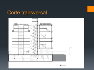 Corte transversal
 