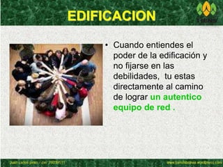EDIFICACION 
• Cuando entiendes el 
poder de la edificación y 
no fijarse en las 
debilidades, tu estas 
directamente al camino 
de lograr un autentico 
equipo de red . 
 