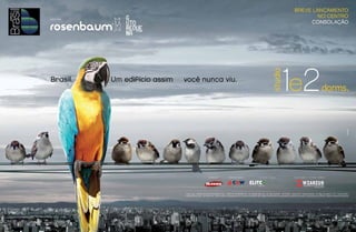 Ed. Brasil - Revista Lounge