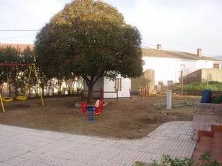 Edificios  cra   ambroz