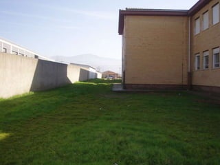 Edificios  cra   ambroz