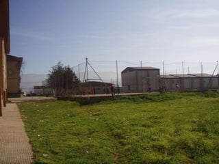 Edificios  cra   ambroz