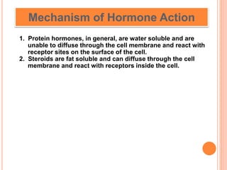 Mechanism of Hormone Action
1. Protein hormones, in general, are water soluble and are
unable to diffuse through the cell membrane and react with
receptor sites on the surface of the cell.
2. Steroids are fat soluble and can diffuse through the cell
membrane and react with receptors inside the cell.
 