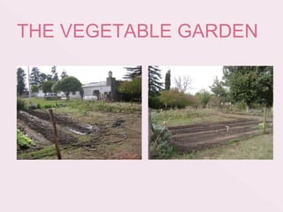 THE VEGETABLE GARDEN
 