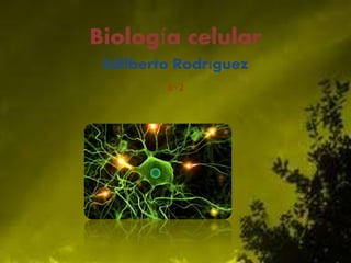 Biología celular
Edilberto Rodríguez
8-2
 