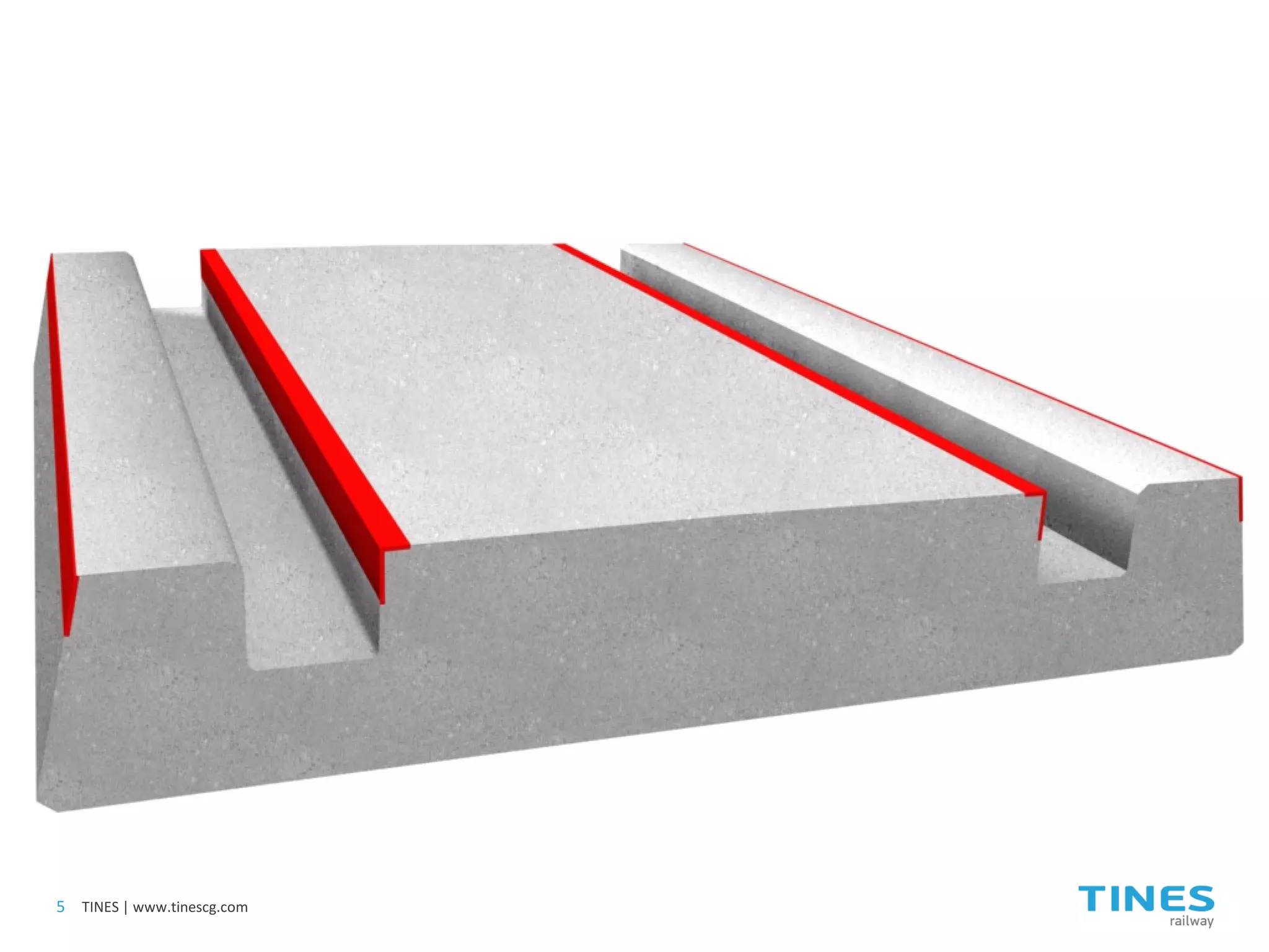 5 
TINES | www.tinescg.com  