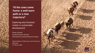 ‘til the cows come
home: a well-worn
path or a new
trajectory?
Exploring why livestock
matter in sustainable
development
Shirley Tarawali
Assistant Director General
International Livestock Research Institute
Global Academy of Agriculture and Food Security
Edinburgh
19 February 2020
 