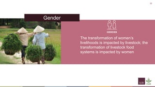 Til the cows come home―A well-worn path or a new trajectory: Exploring why livestock matter in sustainable development 