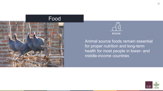 Til the cows come home―A well-worn path or a new trajectory: Exploring why livestock matter in sustainable development 