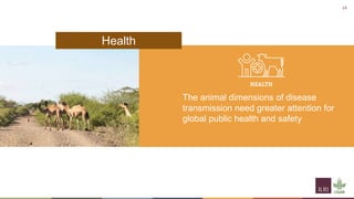 Til the cows come home―A well-worn path or a new trajectory: Exploring why livestock matter in sustainable development 