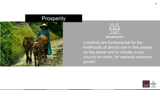 Til the cows come home―A well-worn path or a new trajectory: Exploring why livestock matter in sustainable development 