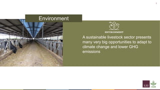 Til the cows come home―A well-worn path or a new trajectory: Exploring why livestock matter in sustainable development 