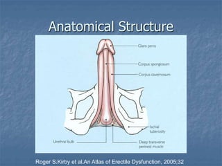 Anatomical Structure
Roger S.Kirby et al.An Atlas of Erectile Dysfunction, 2005;32
 
